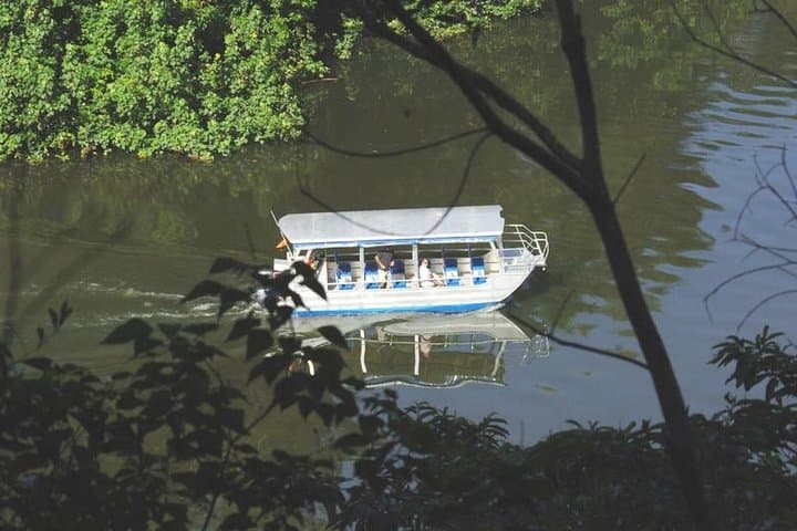 Cape Tribulation Day Tour: Daintree Rainforest, Beaches & Crocodile Cruise from Cairns photo 5