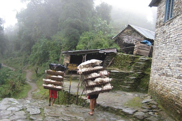 5-Day Mardi Himal Base Camp Trek: Pokhara to 4,500m Himalayan Panorama photo 4