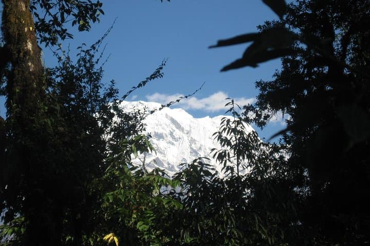 2-Day Panchase Hill Trek: Annapurna Sunrise from Naudanda photo 3