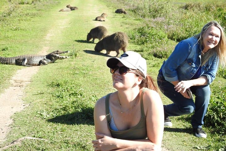 On-Foot Safari Through the Iberá Wetlands: Walk with Capybaras and Caimans
