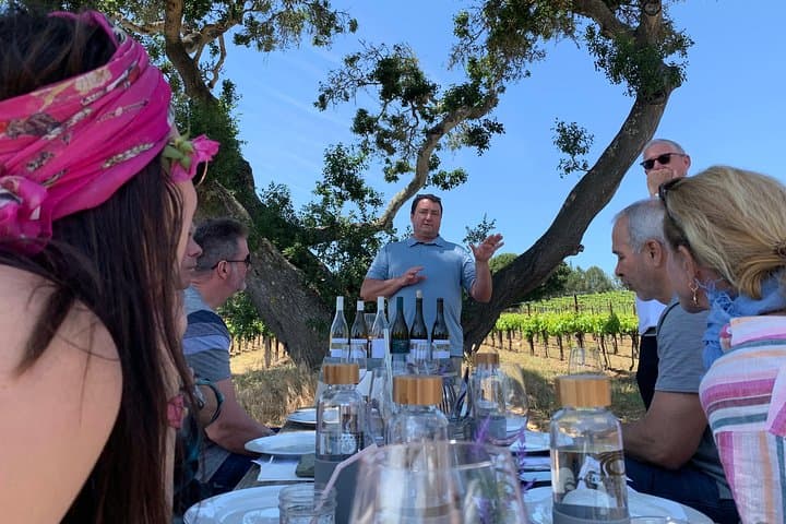 Exclusive Small-Group Wine Tasting in Santa Barbara’s Private Estates photo 6
