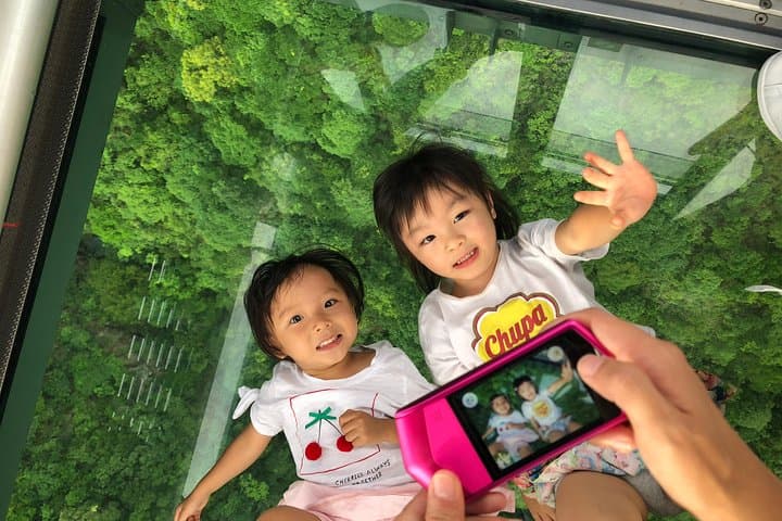 Ngong Ping 360 Private Crystal Cabin — Skip-the-Line Cable Car to Big Buddha photo 6