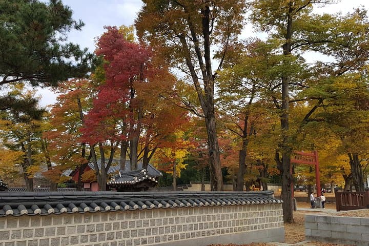 Jeonju Day Trip by KTX: Private Hanok Village & Geumsansa Temple Tour from Seoul