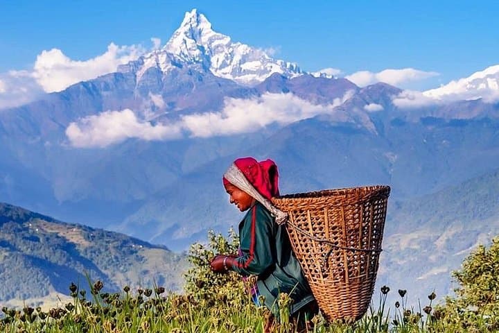 Dhampus to Hemja Day Hike — Annapurna Foothills from Pokhara photo 1