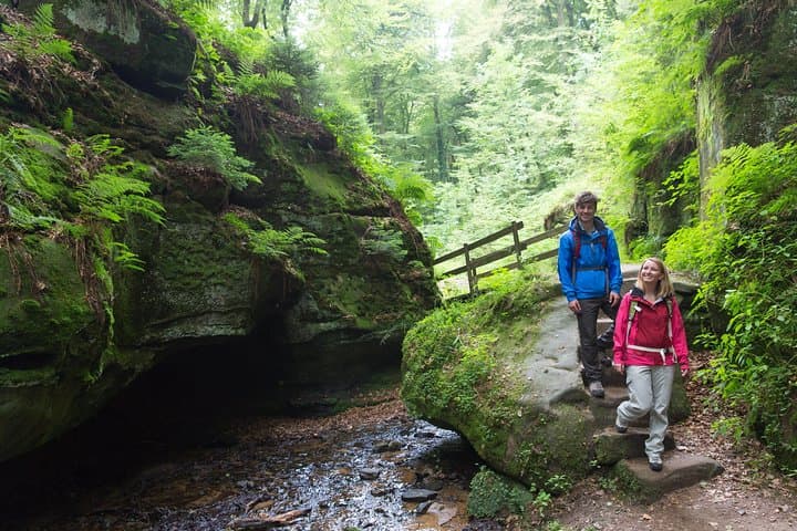Luxembourg Nature and Castle Day Trip — Mullerthal, Vianden & Echternach