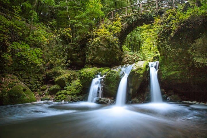 Luxembourg Nature and Castle Day Trip — Mullerthal, Vianden & Echternach photo 2