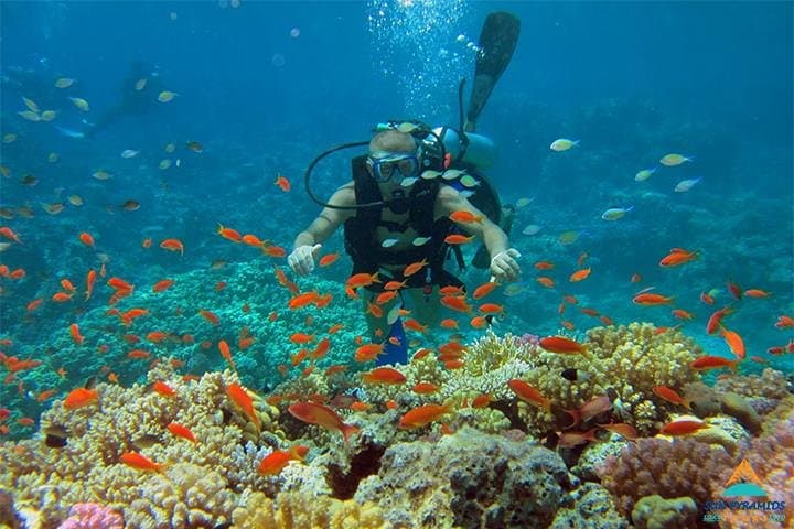 12-Day Luxury Egypt: Cairo, Nile Cruise & Red Sea Relaxation