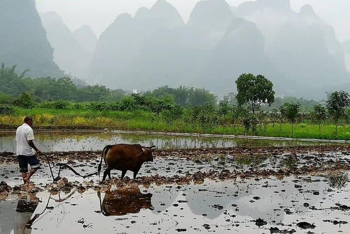 Li River Bamboo Rafting and Xianggong Hill Private Tour from Guilin photo 4