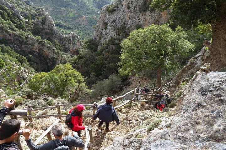 Vulture Trek in Psiloritis Geopark: Platania Gorge Birdwatching Hike photo 3