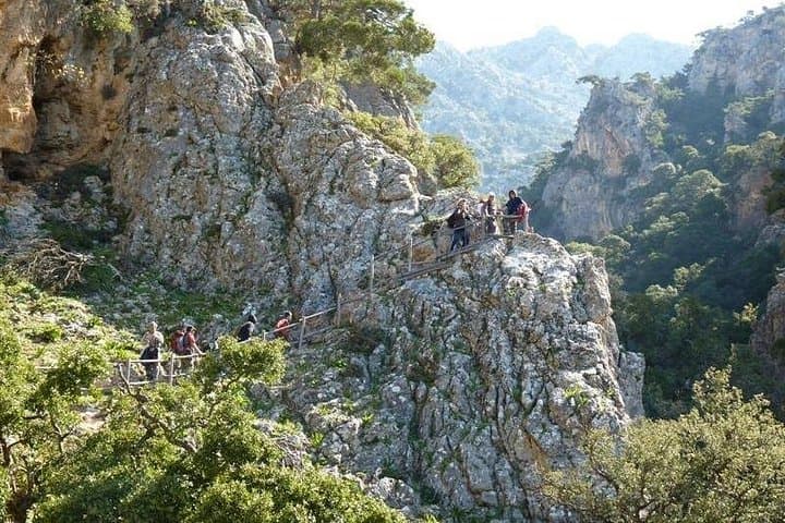 Vulture Trek in Psiloritis Geopark: Platania Gorge Birdwatching Hike photo 5