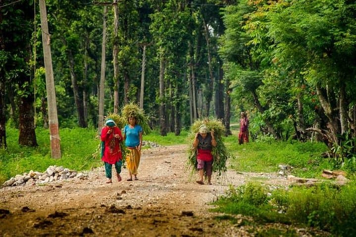 3-Day Chitwan National Park Wildlife Safari from Kathmandu photo 5