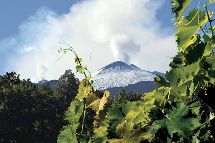 Etna and Wines Tour: Volcano Walks and Winery Tasting from Catania
