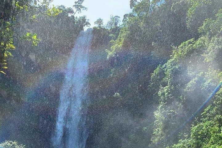 Mount Meru One-Day Hike: Summit Views & Arusha National Park Trek photo 5