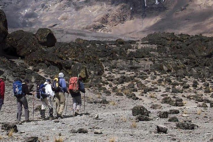 Mount Meru One-Day Hike: Summit Views & Arusha National Park Trek photo 6