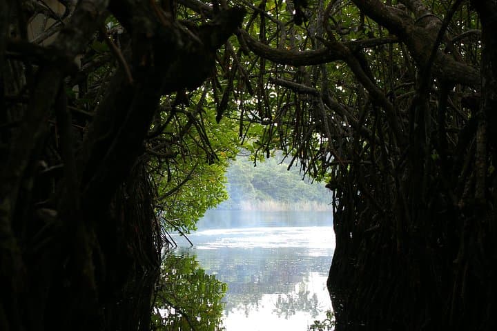 Exploring Negombo: A Journey Through History and Culture