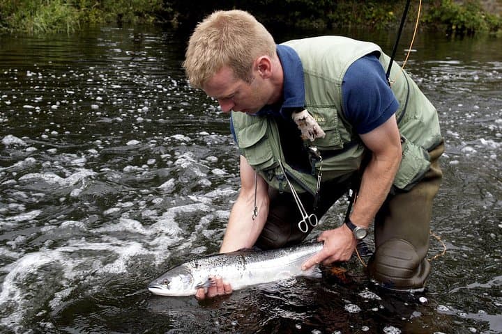 Erriff River Salmon & Sea Trout Fishing with a French-Speaking Ghillie