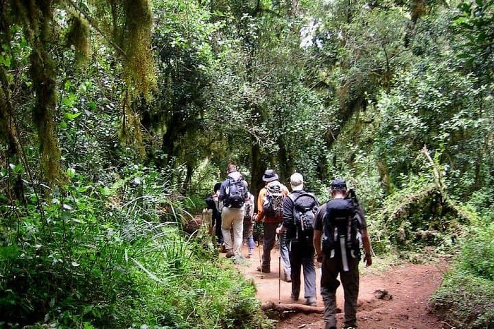 Meru Waterfalls Day Hike from Arusha — Guided Visit to Mt Meru Falls photo 3