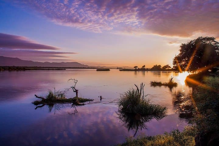 Upper Zambezi Sunset Cruise: Two-Hour Wildlife On The Water Near Victoria Falls photo 5