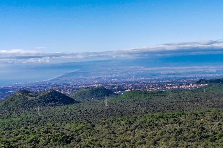 Etna and Wines Tour: Volcano Walks and Winery Tasting from Catania photo 2