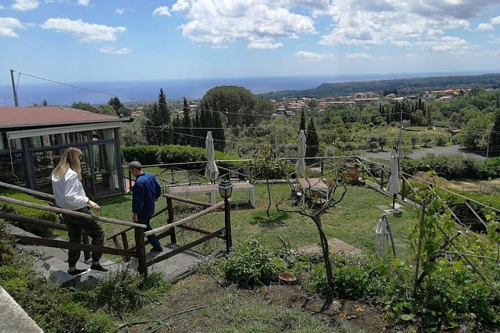 Etna and Wines Tour: Volcano Walks and Winery Tasting from Catania photo 5