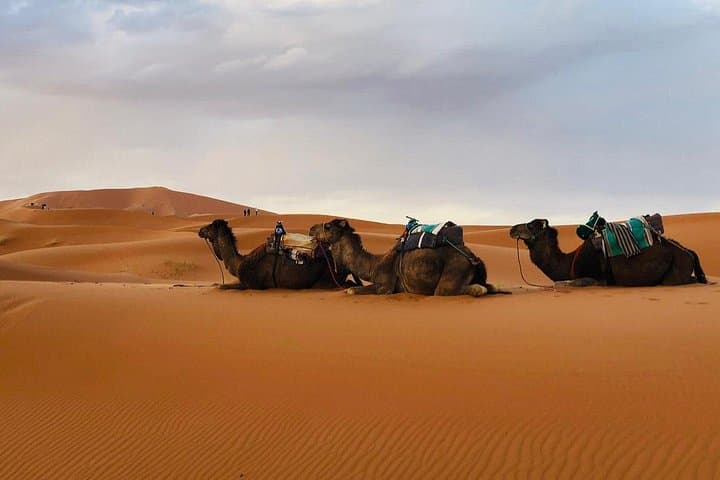 Fes to Merzouga Desert Trip: 2-Day Camel Ride & Overnight Sahara Camp