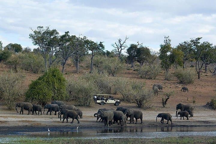 3-Day Chobe Camping Safari — Elephants, River Cruises & Night Skies in Botswana photo 4