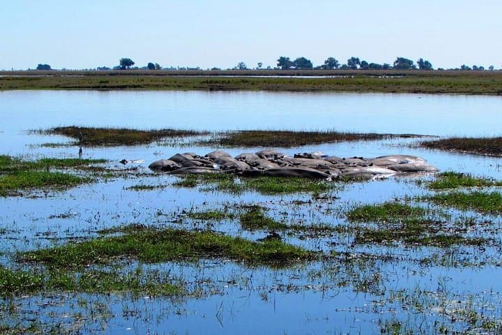 3-Day Chobe Camping Safari — Elephants, River Cruises & Night Skies in Botswana photo 5