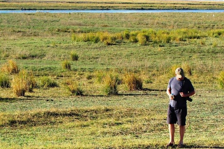 3-Day Chobe Camping Safari — Elephants, River Cruises & Night Skies in Botswana photo 6