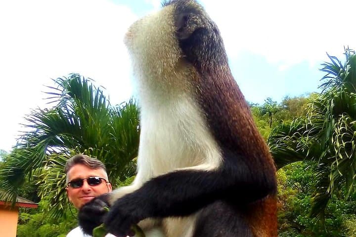 Private Fun Tour in Grenada — Rainforest Treks, Historic Forts, Rum & Chocolate photo 2