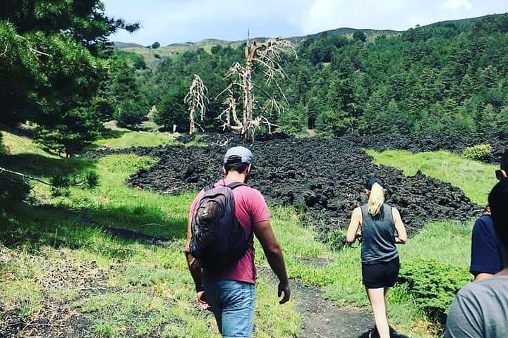 Etna Off-Road Excursion: SUV Trek to Monti Sartorius & Grotta dei Ladroni