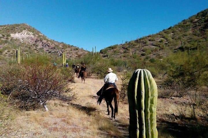 Ride the Baja Desert: Sierra la Giganta Horseback Tour from Loreto