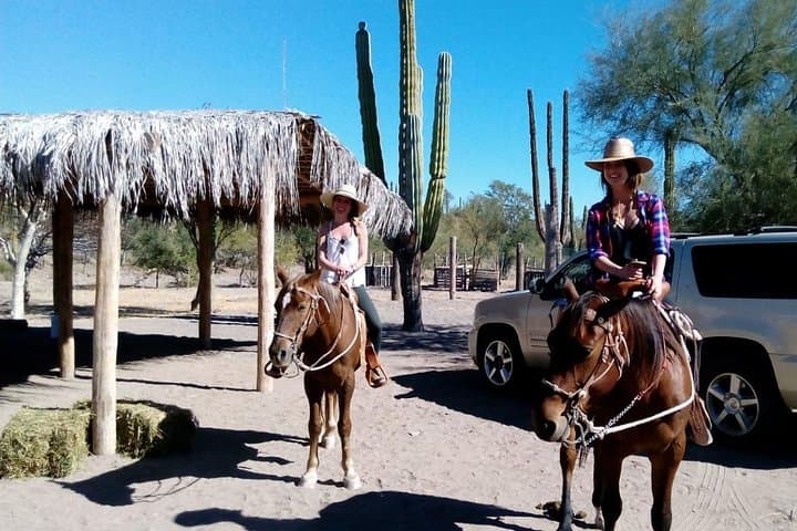 Ride the Baja Desert: Sierra la Giganta Horseback Tour from Loreto photo 2