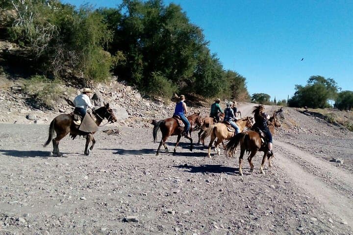 Ride the Baja Desert: Sierra la Giganta Horseback Tour from Loreto photo 3