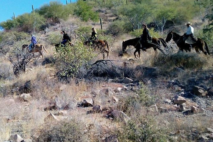 Ride the Baja Desert: Sierra la Giganta Horseback Tour from Loreto photo 4