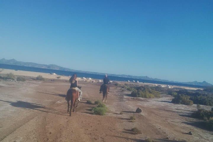 Ride the Baja Desert: Sierra la Giganta Horseback Tour from Loreto photo 5
