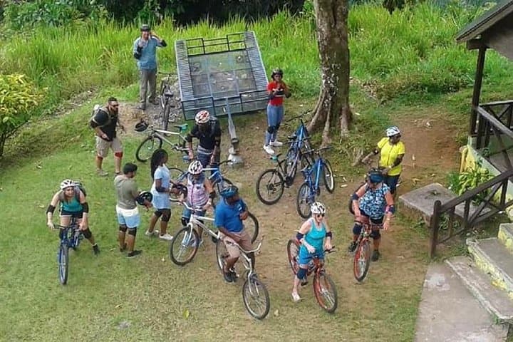 Blue Mountain Bicycle Tour from Montego Bay — Downhill Rainforest Ride and Coffee Country photo 2