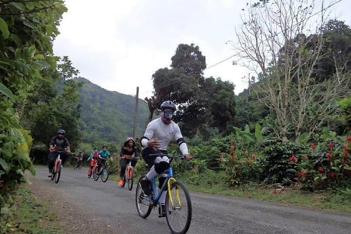 Blue Mountain Bicycle Tour from Port Antonio — Downhill Rainforest Ride & Coffee Country photo 3
