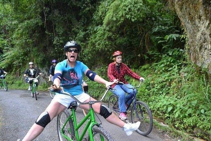 Blue Mountain Bicycle Tour from Port Antonio — Downhill Rainforest Ride & Coffee Country