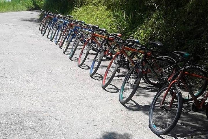 Blue Mountain Bicycle Tour from Ocho Rios: Downhill Rainforest Ride photo 5