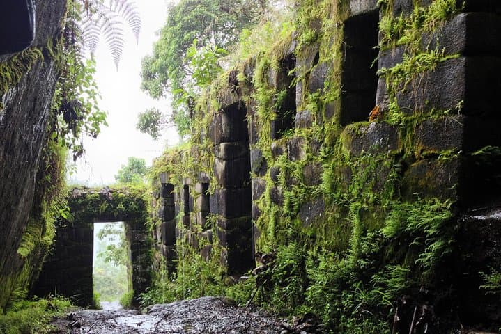Llactapata Trek Experience: 3-Day Inca Trail to Machu Picchu via Cloud Forest photo 3