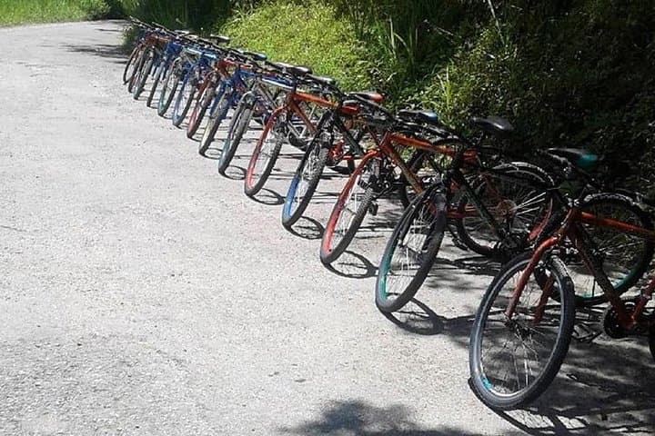 Blue Mountain Bicycle Tour from Runaway Bay — Ride Through Jamaica’s Coffee Country photo 3