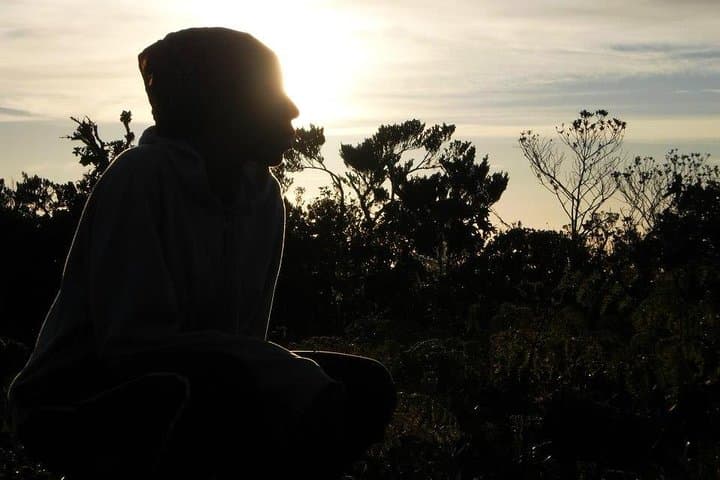 Blue Mountain Peak Sunrise Hike: Overnight Trek from Kingston to Jamaica's Highest Point photo 6