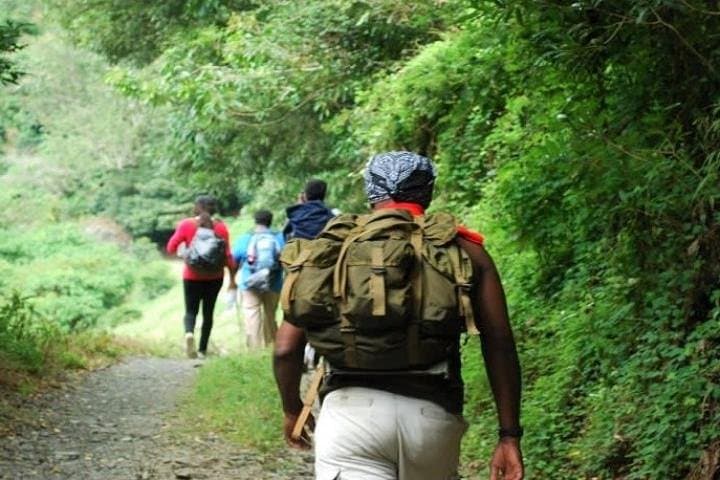Blue Mountain Peak Sunrise Hike: Overnight Trek from Kingston to Jamaica's Highest Point photo 3
