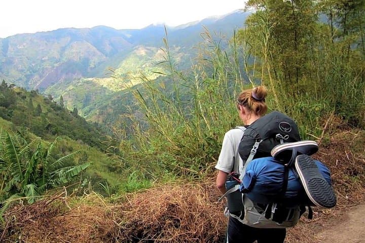 Blue Mountain Peak Sunrise Hike: Overnight Trek from Kingston to Jamaica's Highest Point photo 4
