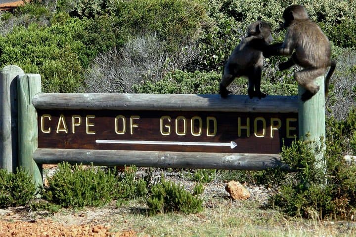 Cape Point & Cape of Good Hope Private Full-Day Tour from Cape Town photo 6