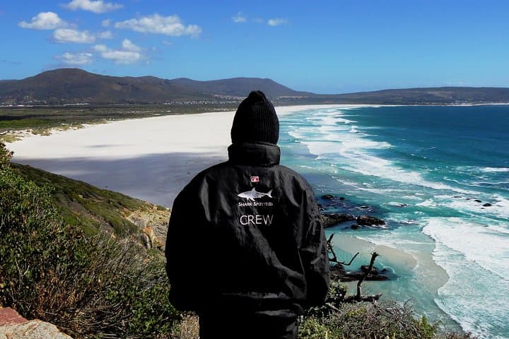 Cape Point & Cape of Good Hope Morning Tour — Chapman’s Peak, Penguins & Lighthouse Walk