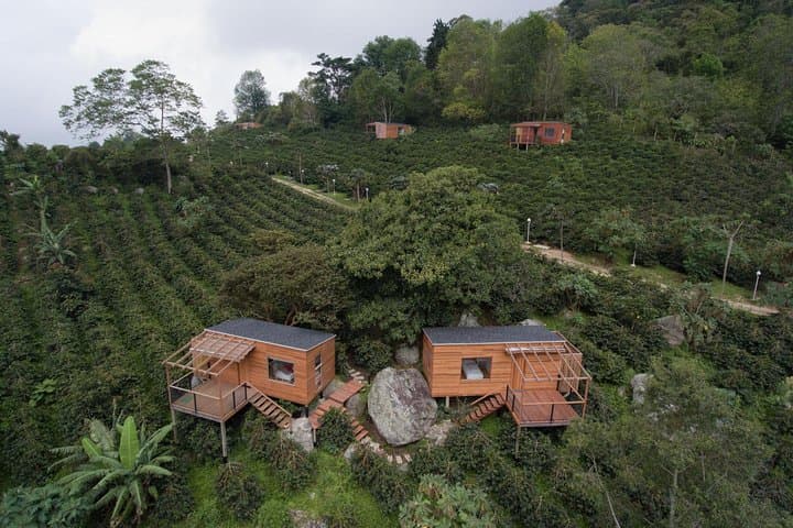 Coffee Tour La Palma & El Tucan: Bogotá Specialty Coffee Experience
