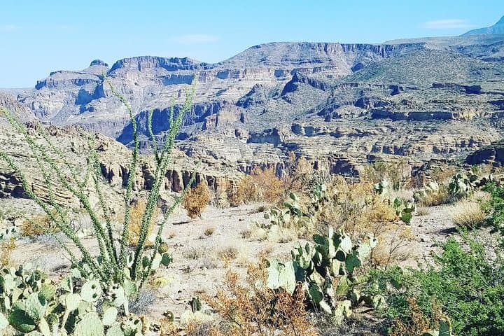 Apache Trail Full-Day Adventure from Scottsdale: Superstition Mountains & Canyon Lake Cruise photo 5