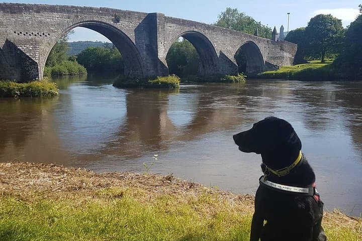 Walk the Stirling Bridge Battlefield: William Wallace Guided Tour