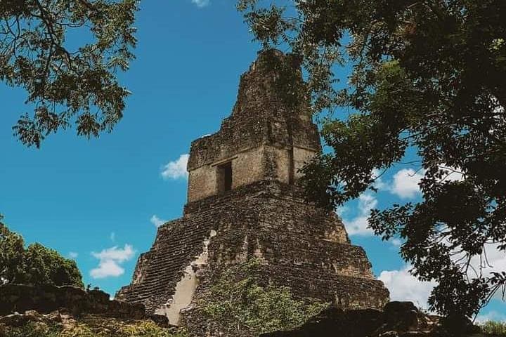 2-Day Tikal & Ixpanpajul Hanging Bridges Combo — Flight from Guatemala City photo 5